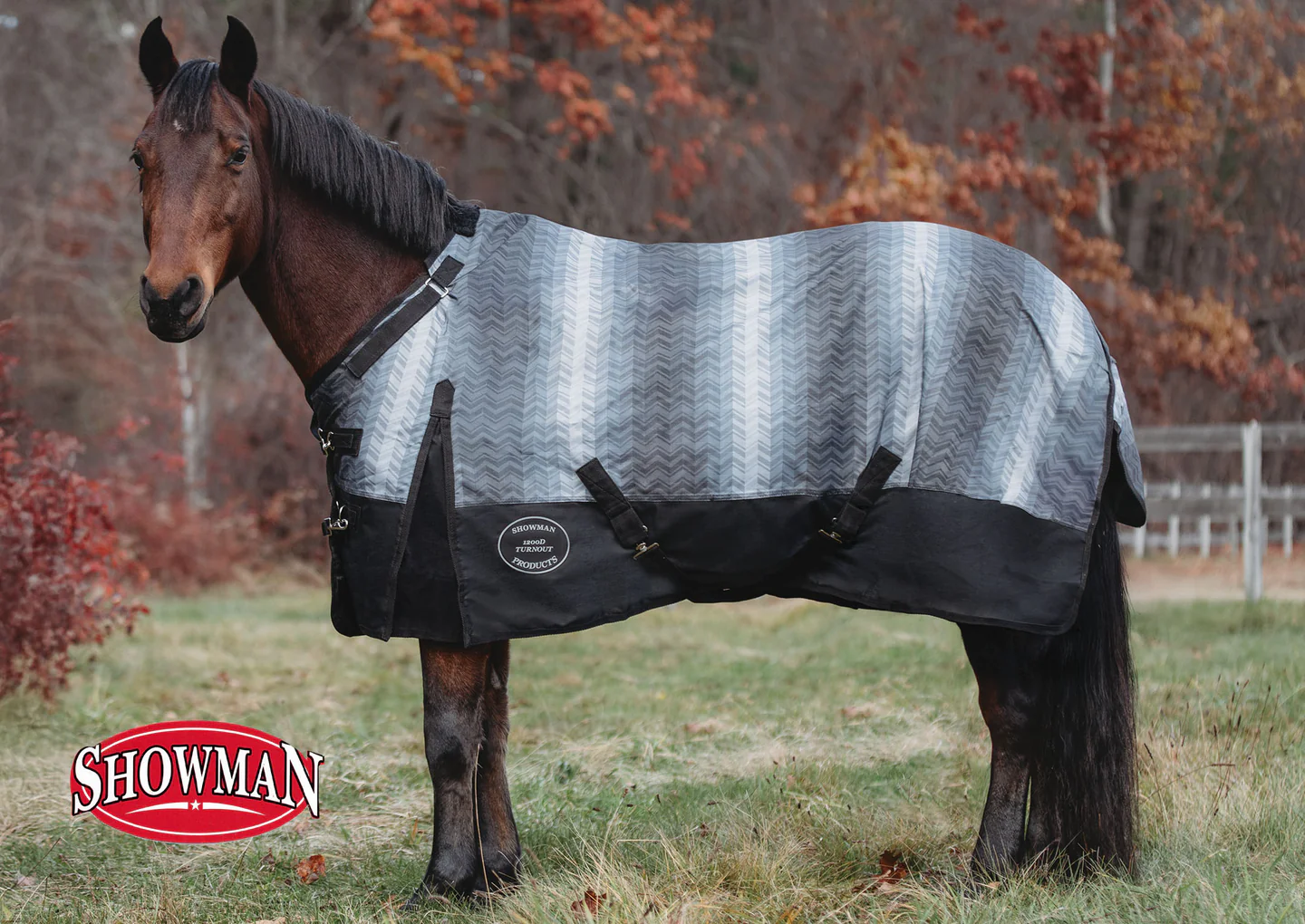 Welcome to Our Store